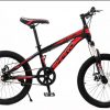 Shard GREAT Mountain Bike,20 Inches Carbon Steel, Single Speed