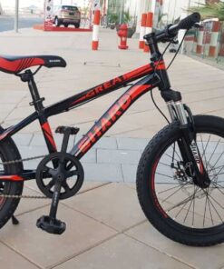 Mountain Bike Great
