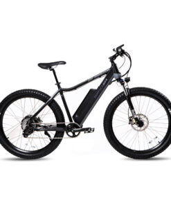 Electric Bikes
