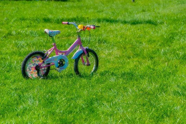 best kids bike online online kids bike buy kids bike