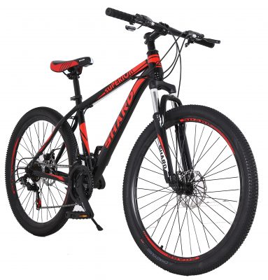 Cheap folding bicycle foldable bike