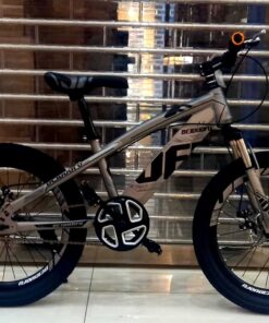 Mountain Bike,20 Inches Carbon Steel, Single Speed