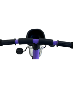 Kids Tricycle 721