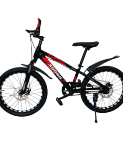 Mountain Bike,22