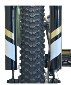 Mountain Bike,22