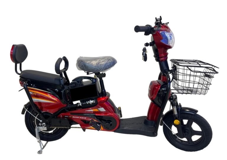 Electric Bicycle with Grocery Basket